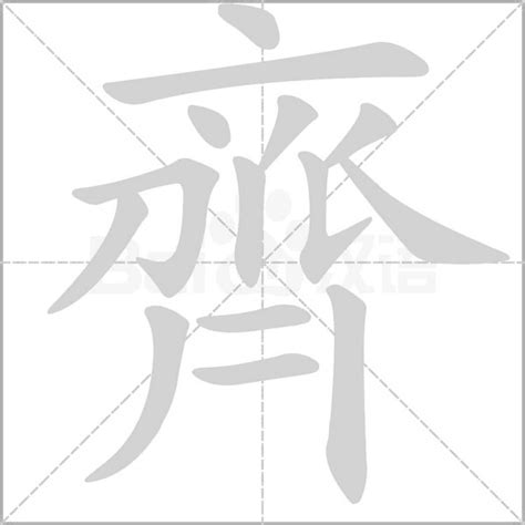 齊名字意思|齊